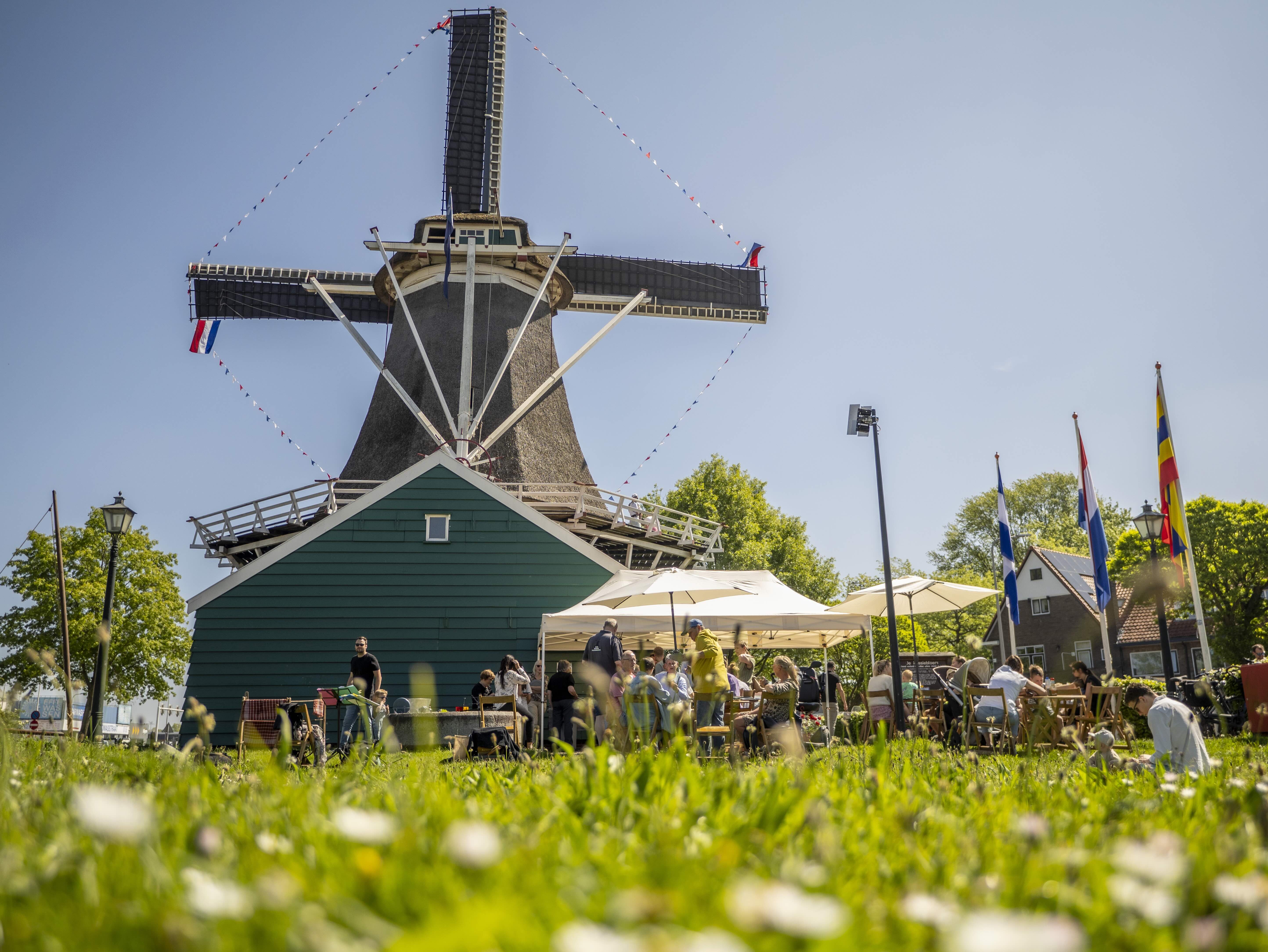 Een molen met daarvoor mensen die buiten zitten op gras met kleine witte bloemetjes. Aan de wieken van de molen hangen vlaggenlijnen. De lucht is helder en blauw. Rechts in het beeld staan vlaggenmasten met grote vlaggen, het is windstil.